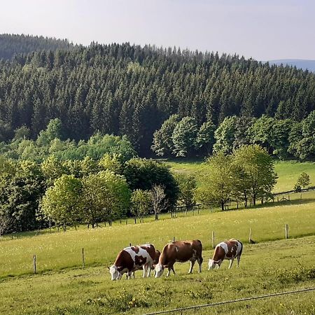 Ferienwohnung Jule Incl Sommer Card Winterberg Exteriér fotografie