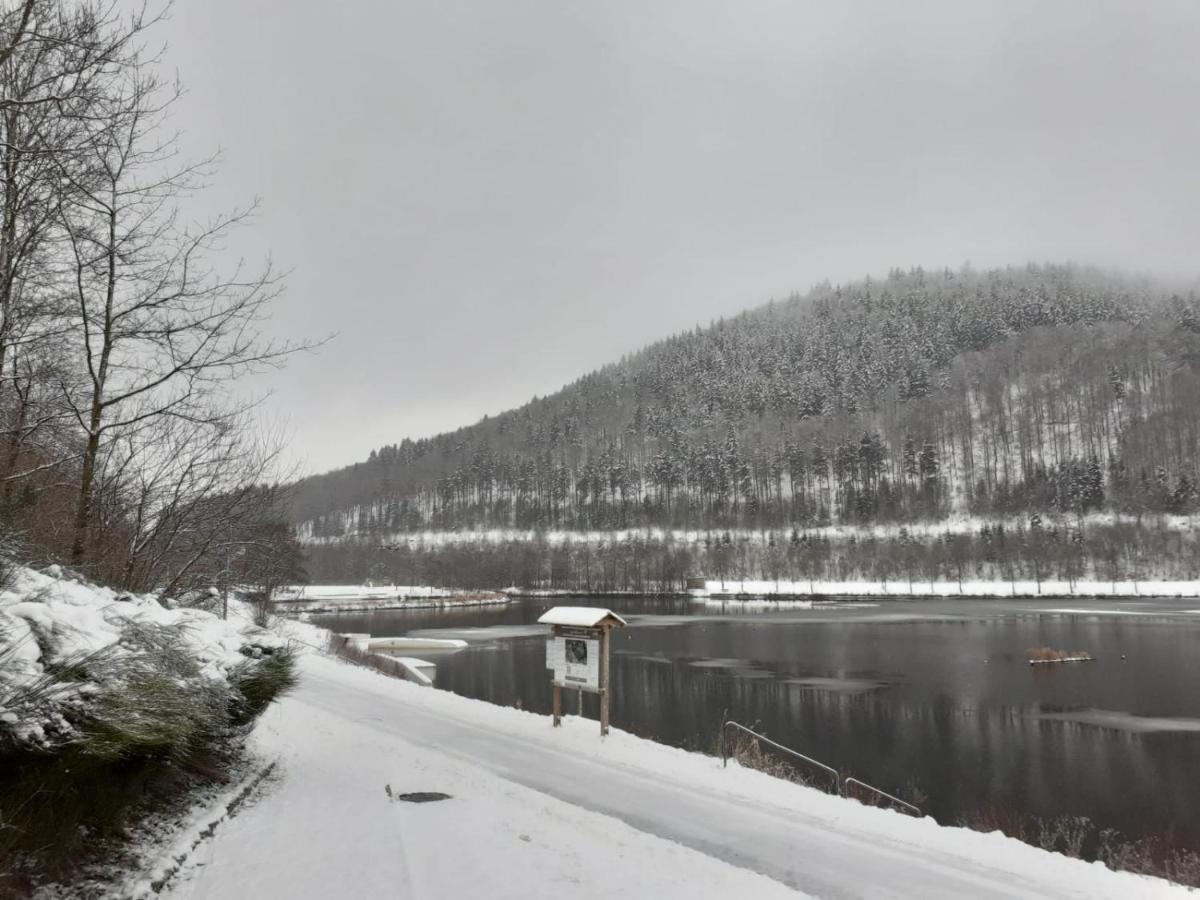 Ferienwohnung Jule Incl Sommer Card Winterberg Exteriér fotografie